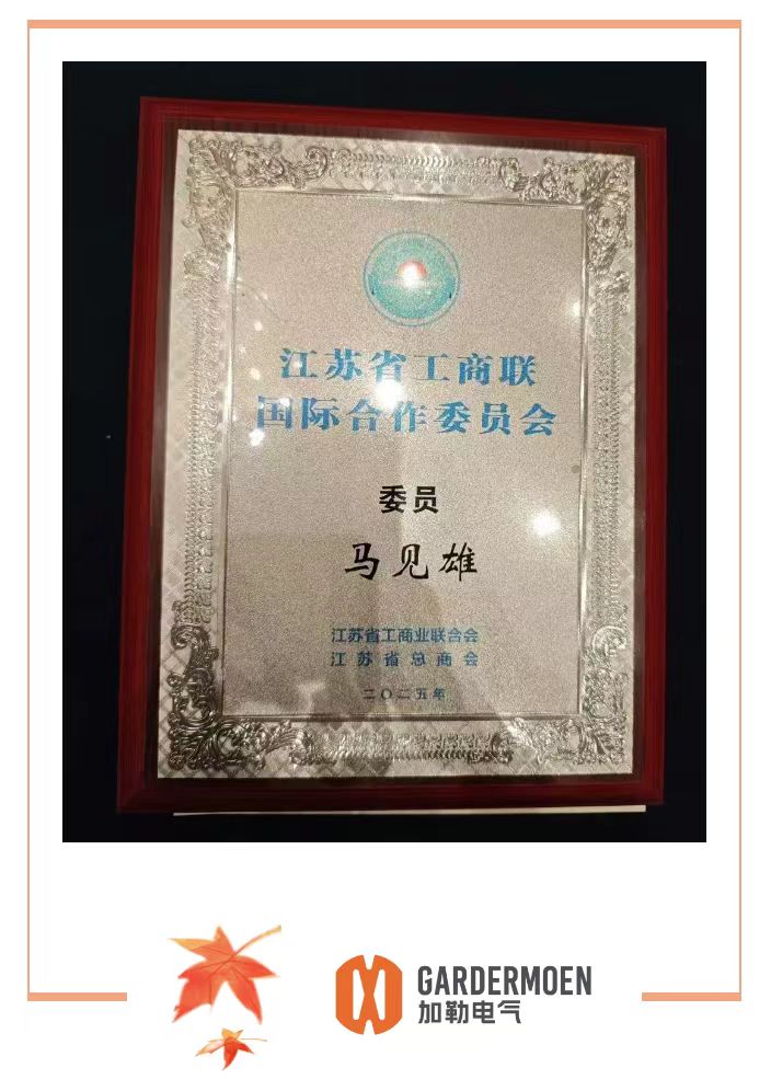 马见雄董事长荣任江苏省工商联国际合作委员会委员(图3)