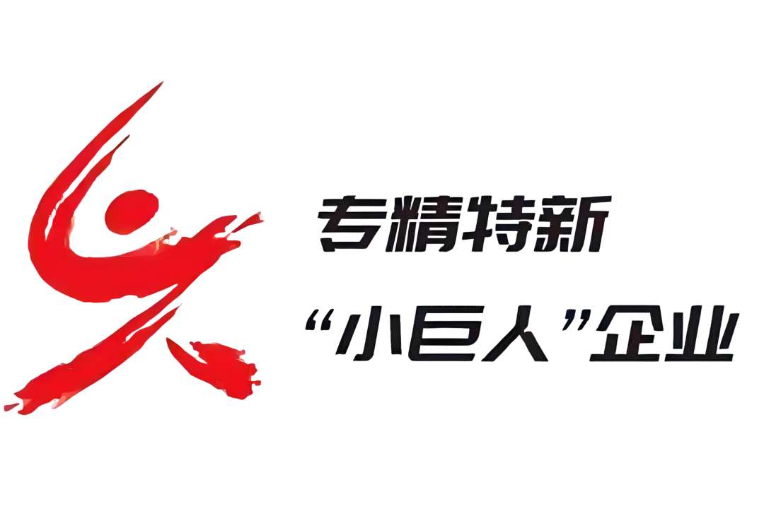 喜报｜热烈祝贺加勒获评国家级重点“小巨人”企业(图12)